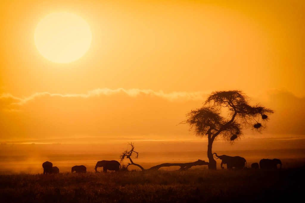 Amboseli & Kilimanjaro Views
