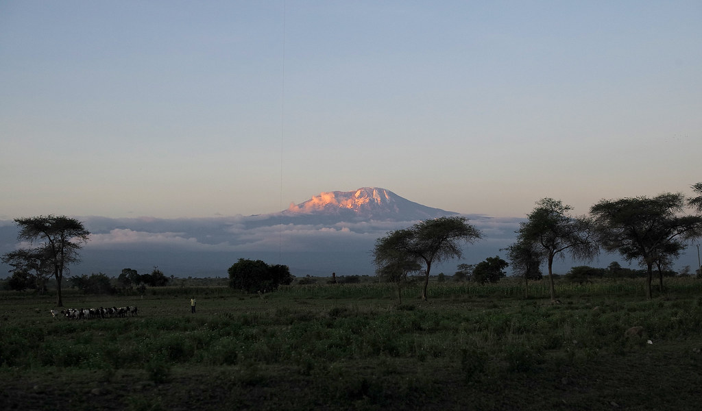 Amboseli & Kilimanjaro Views — mount kilimanjaro