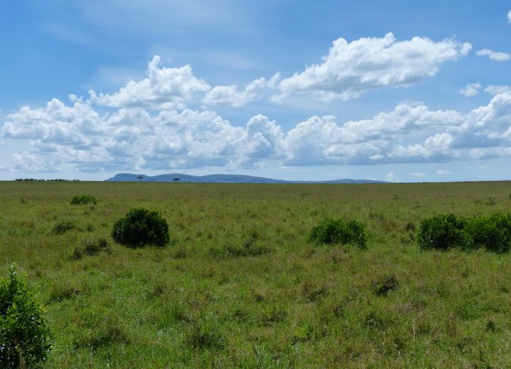 Best time to visit the Maasai Mara