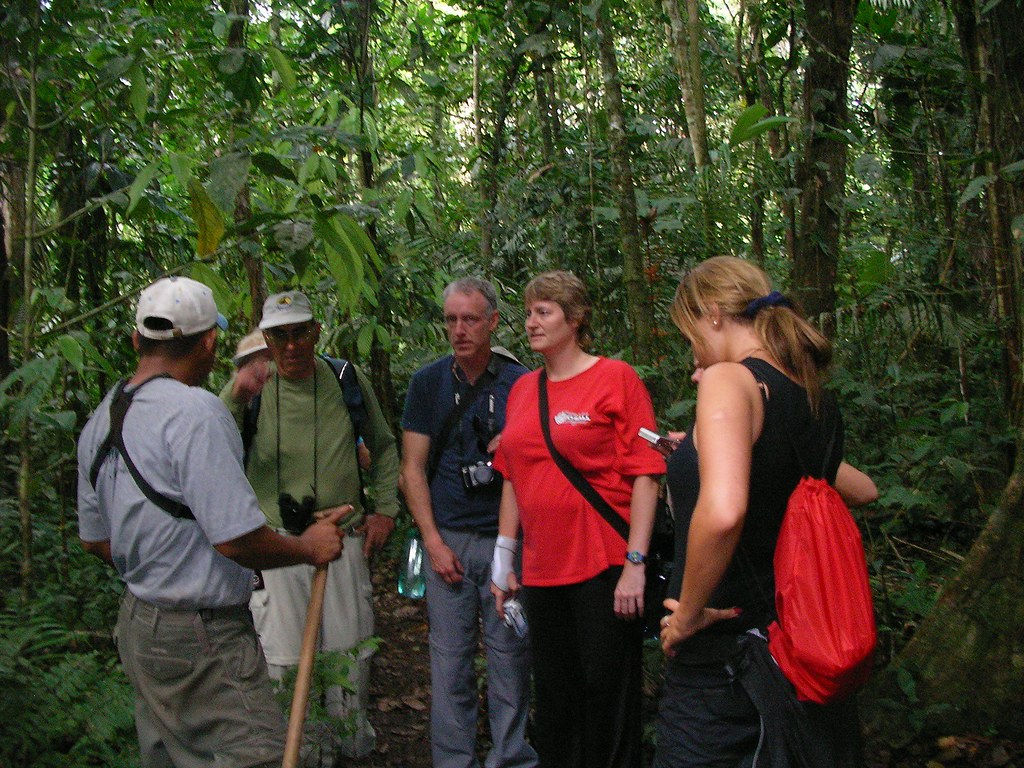 Bwindi Gorilla Trek — rainforest jungle