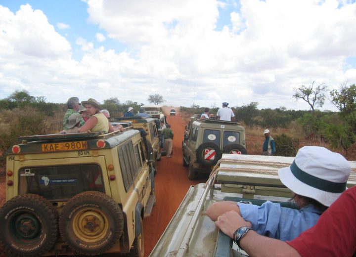 Kenya vs Tanzania: which safari is right for you?