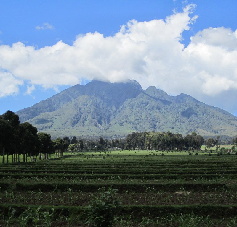 Rwanda Tours